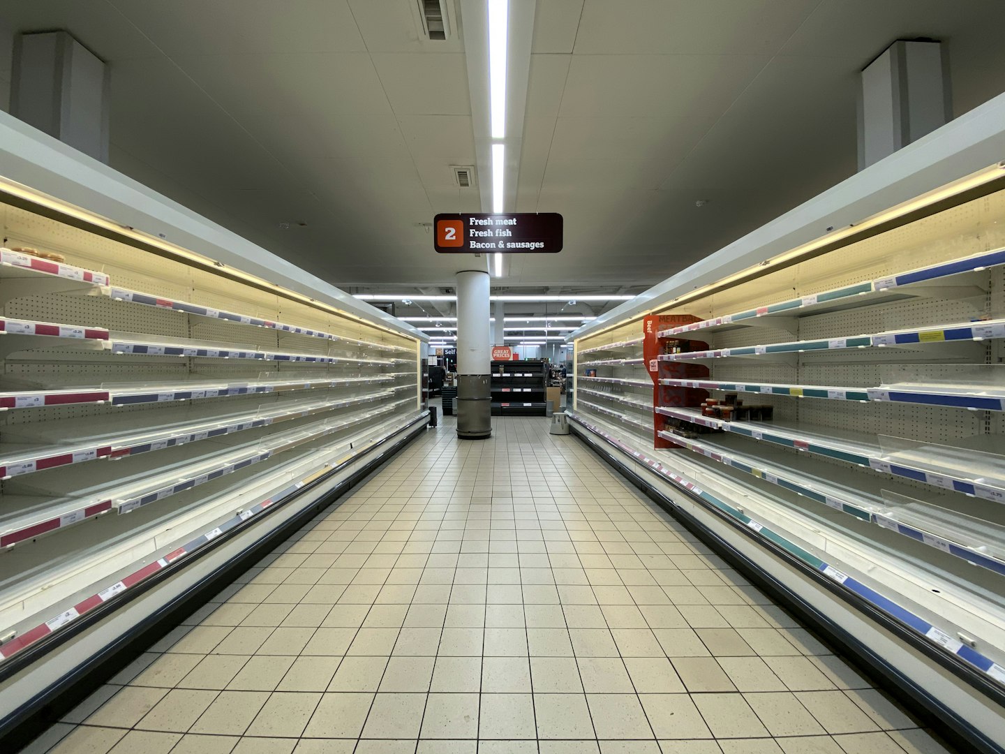 Wat is Salie en Waarom Gebruik je het?